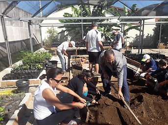Voluntários trabalhando juntos no viveiro