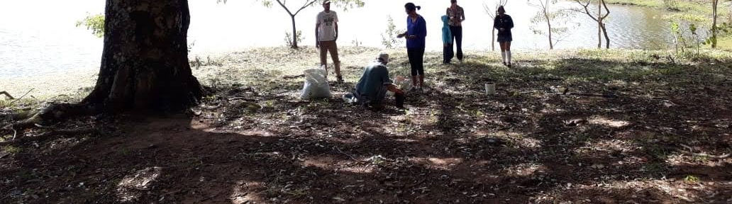 Voluntários plantando mudas à beira de um lago
