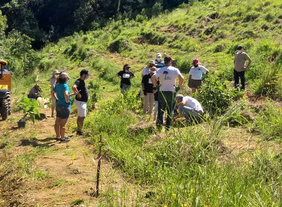 Grupo de voluntários em mutirão de plantio na serra