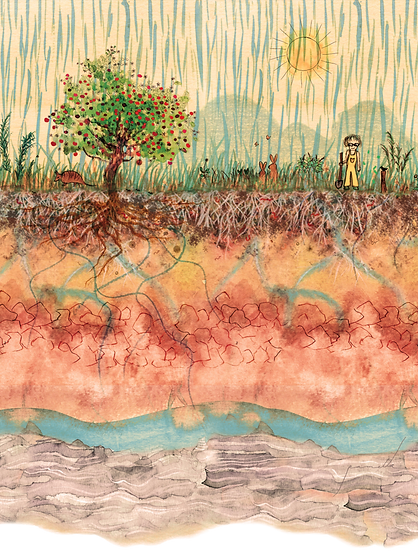 Ilustração da Cartilha da Terra de Ana Maria Primavesi